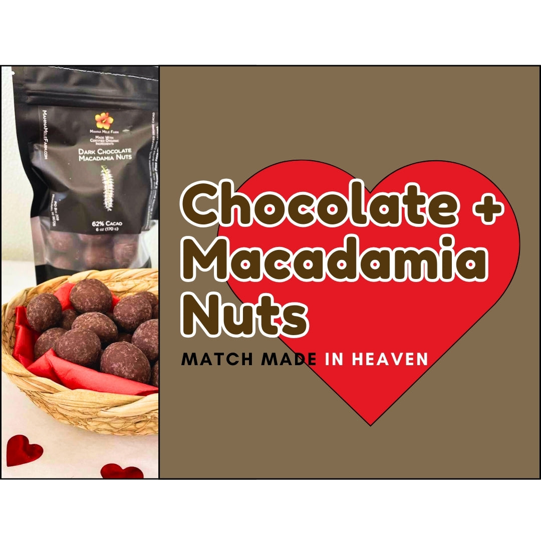 Dark Chocolate Macadamia Nuts