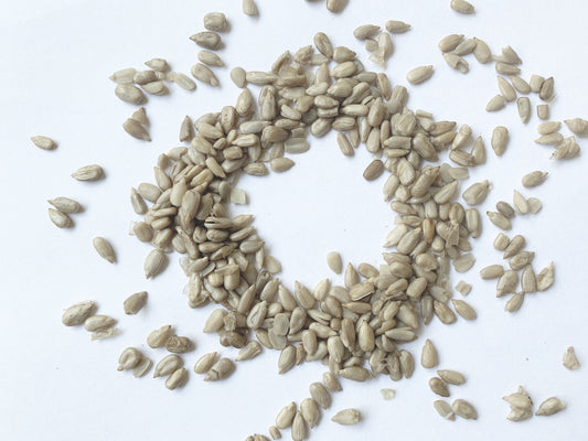 Higher Power Raw Foods Sprouted Sunflower Seeds